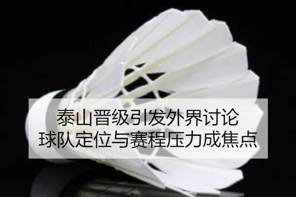 泰山晋级引发外界讨论 球队定位与赛程压力成焦点
